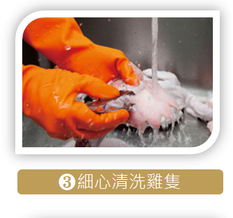 滴雞精生產流程3細心清洗雞隻